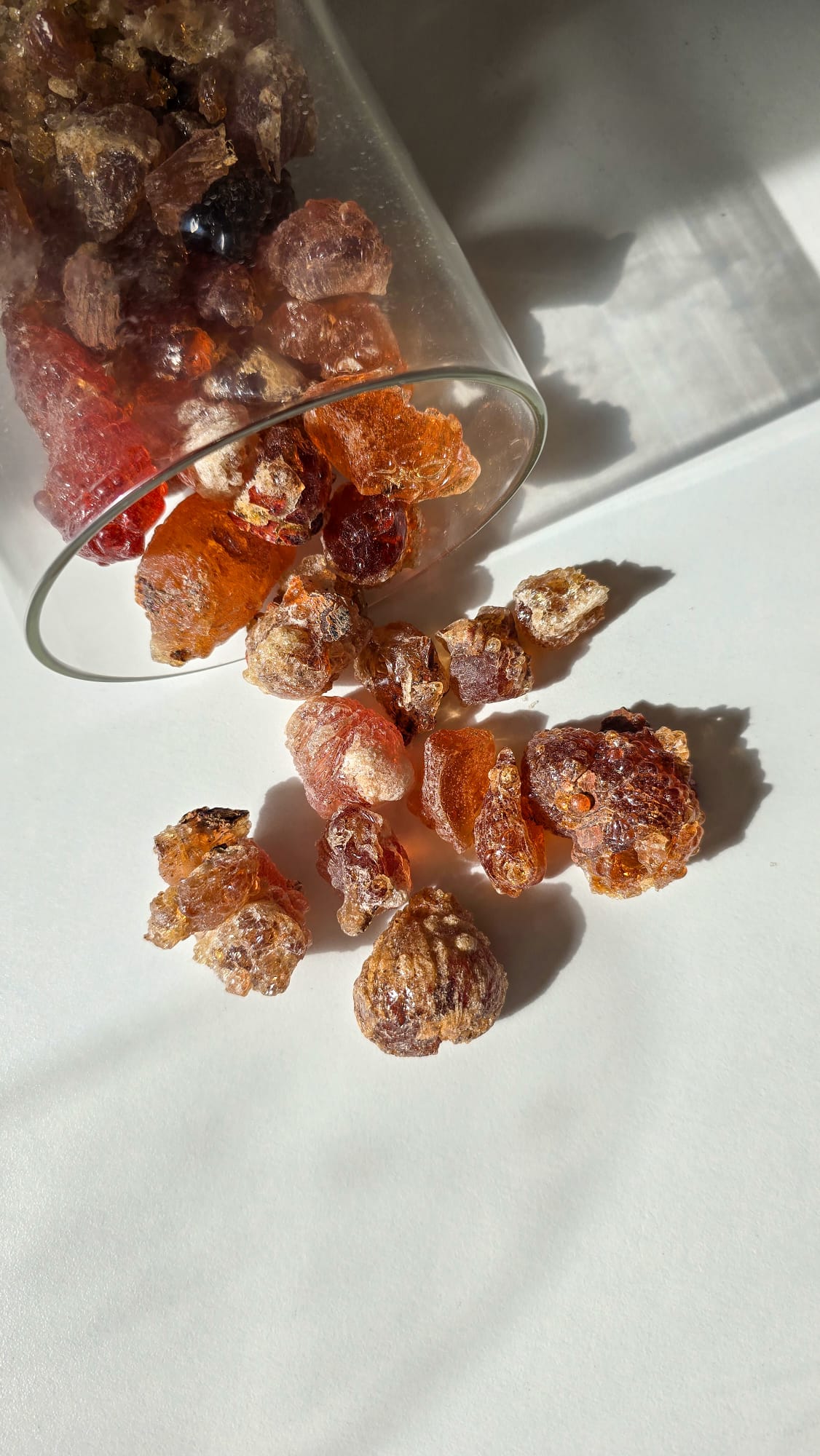 Gomme arabique sauvage